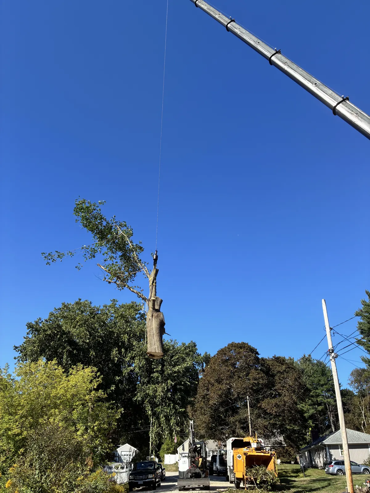 Tree section suspended from a Timber Falls crane against blue sky